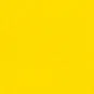 10.10oz Waxed Canvas -Yellow