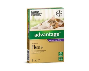 ADVANTAGE CAT OVER 4KG - 6 PK