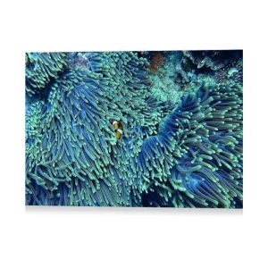 Blue and Green Reef - Canvas Print