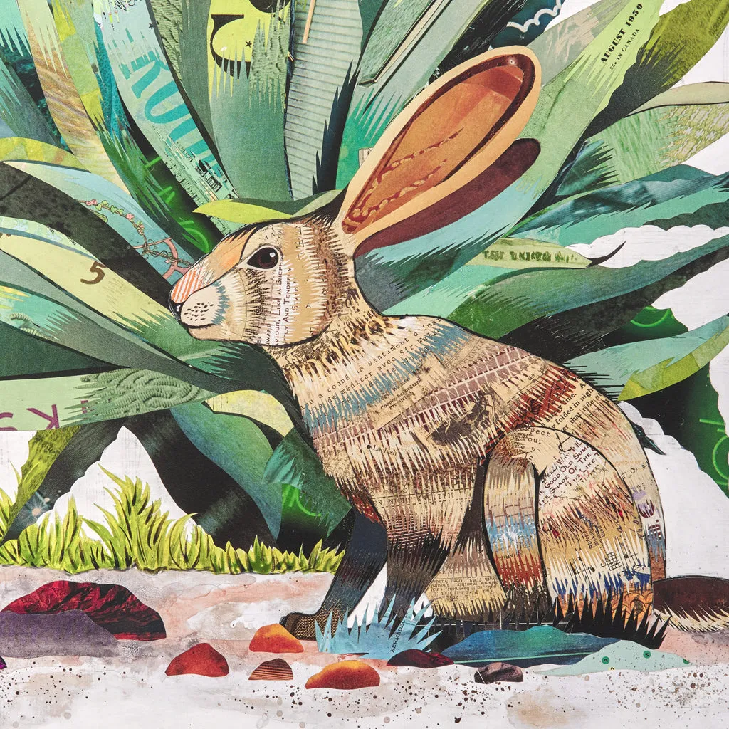 CACTUS COUNTRY (JACKRABBIT) canvas art print with float frame