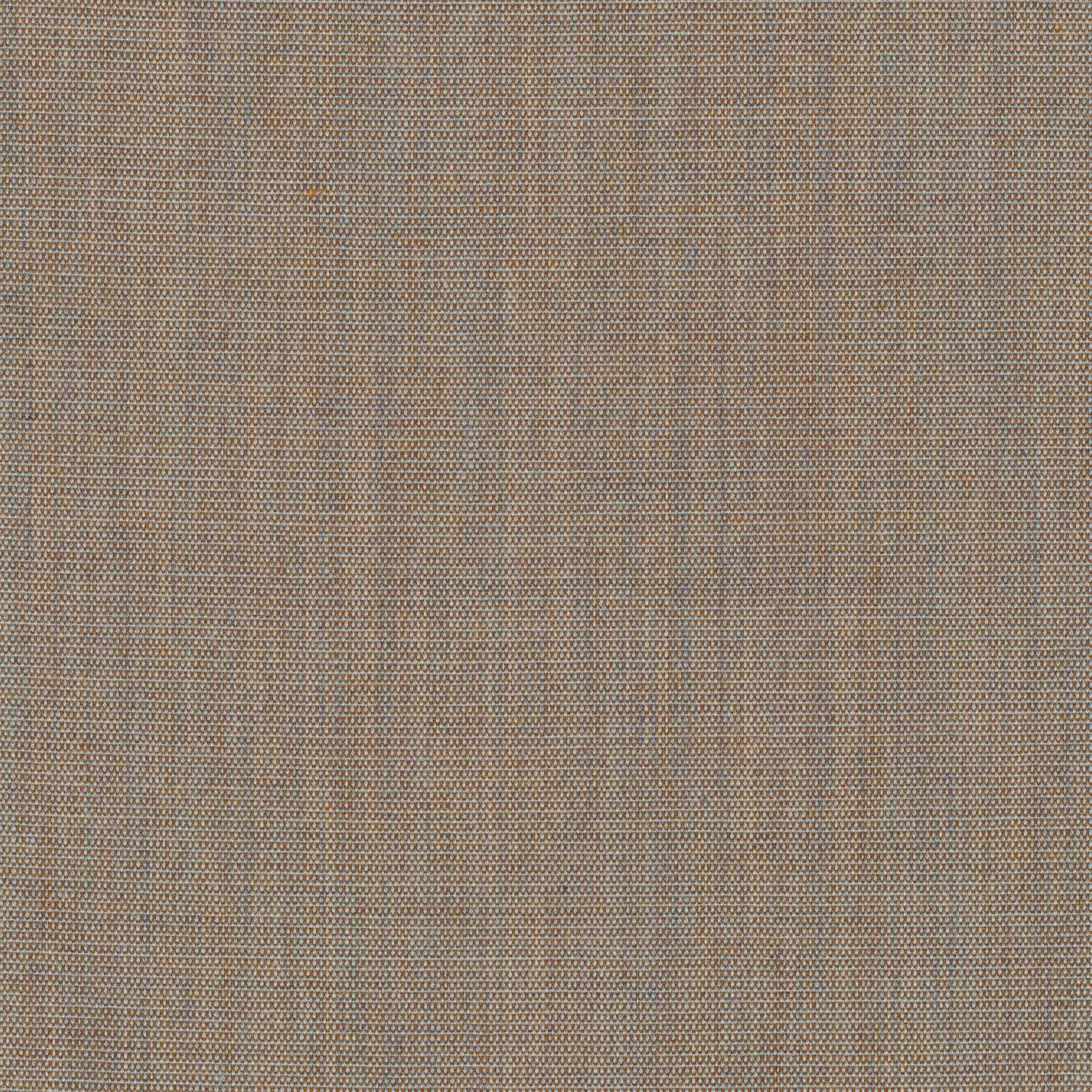 Canvas 2, 244