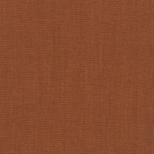 Canvas 2, 454