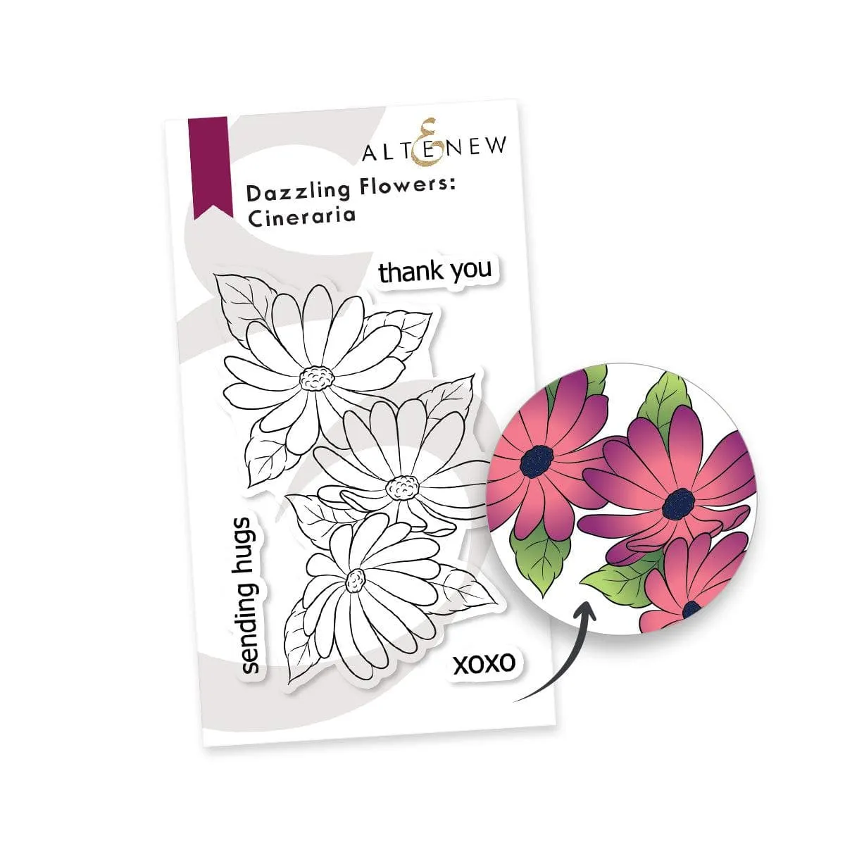 Dazzling Flowers - Cineraria