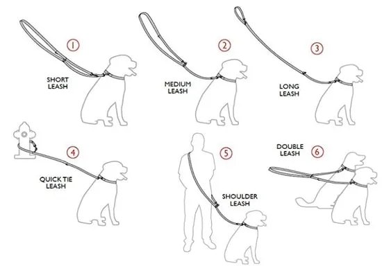 Hands Free Golden Treasure Dog Leash