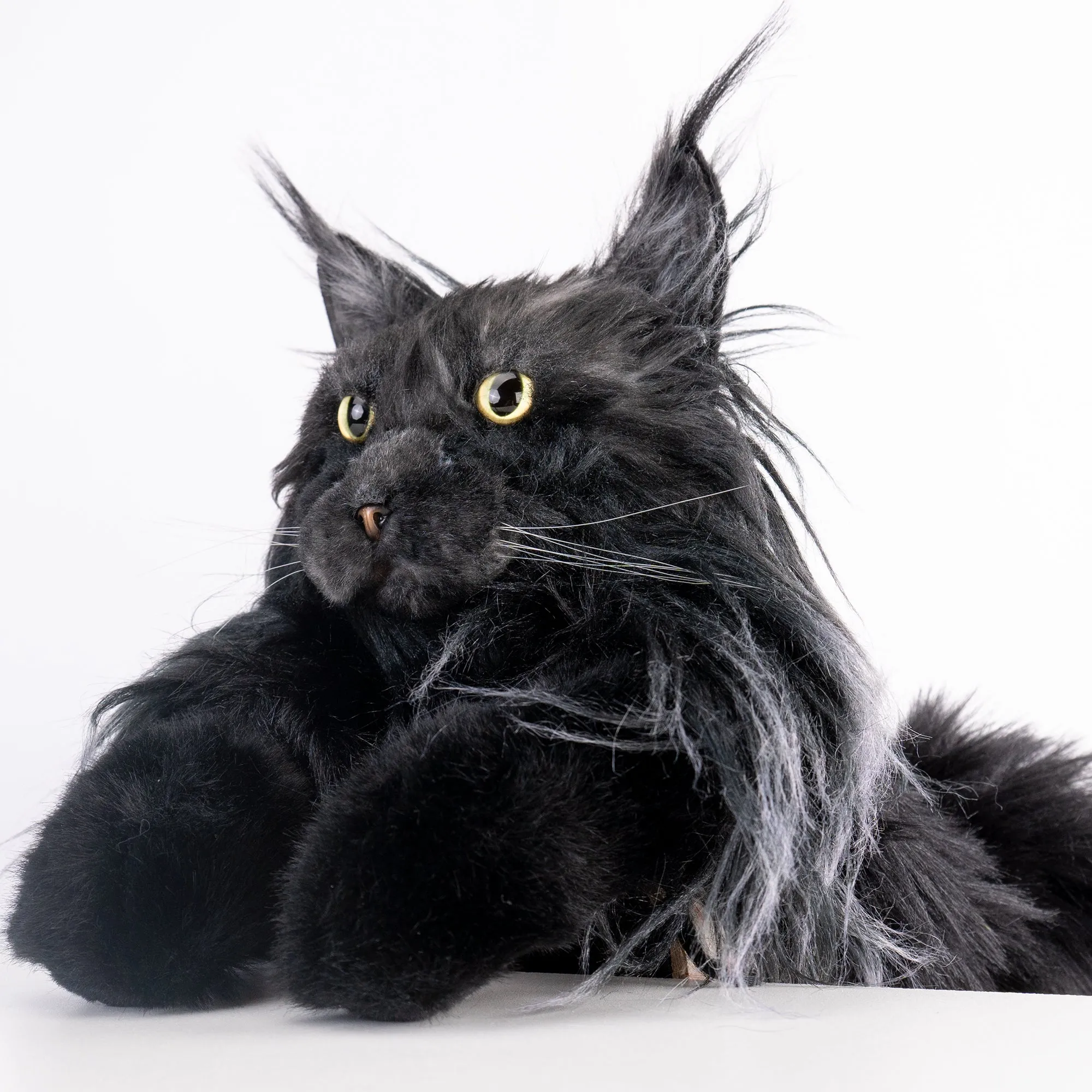 Maine Coon Cat Backpack