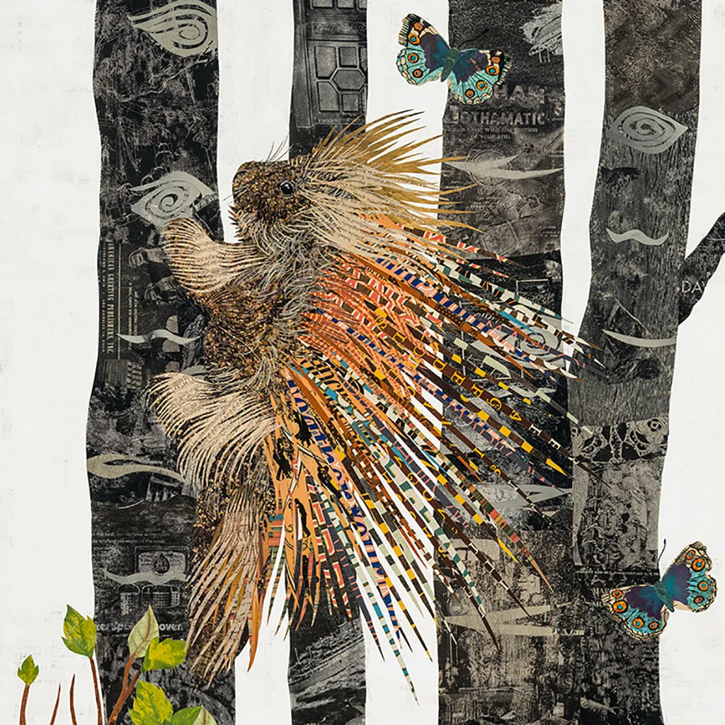 MIDNIGHT FOREST PORCUPINE canvas art print with float frame