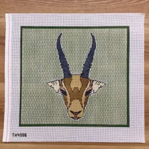 Olive Cantelope Canvas