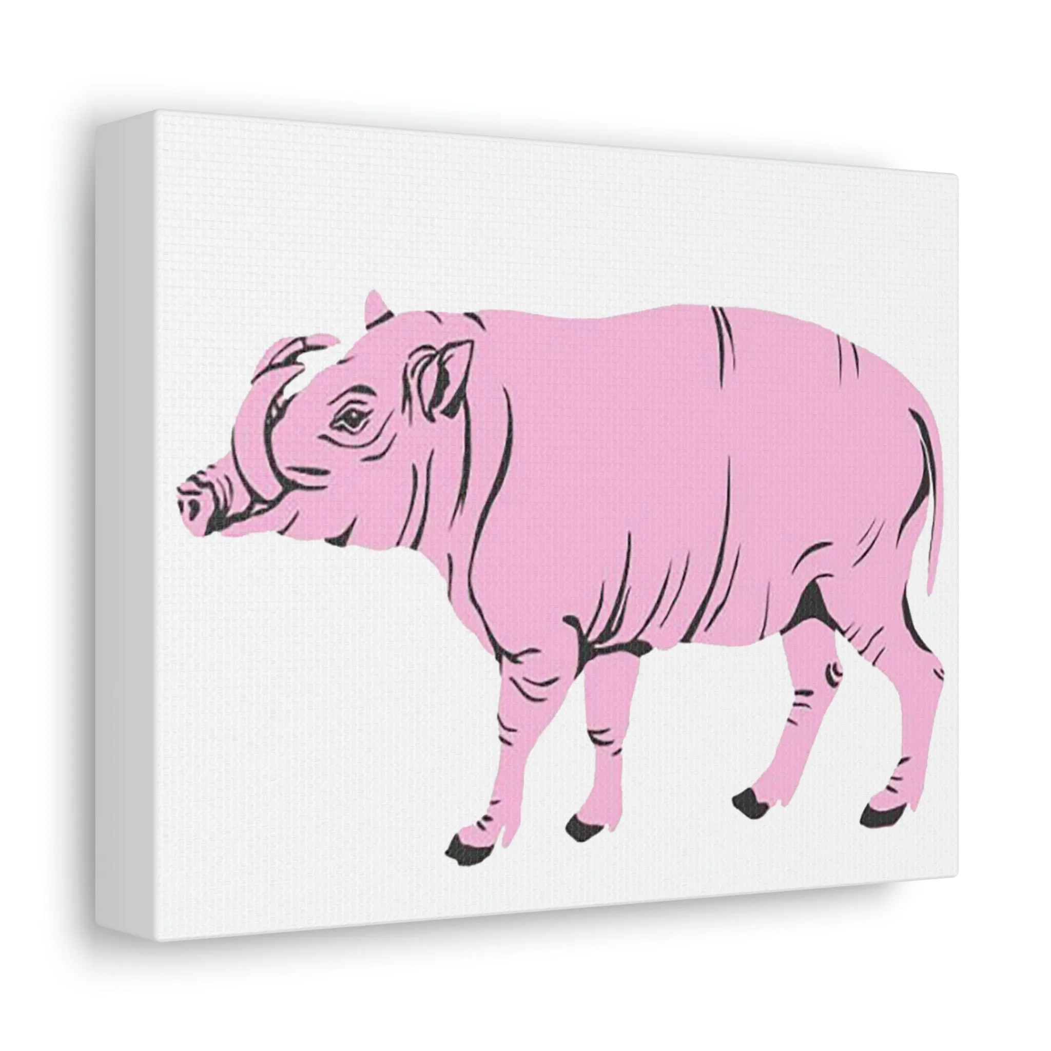 Pink Warthog Stretched Canvas
