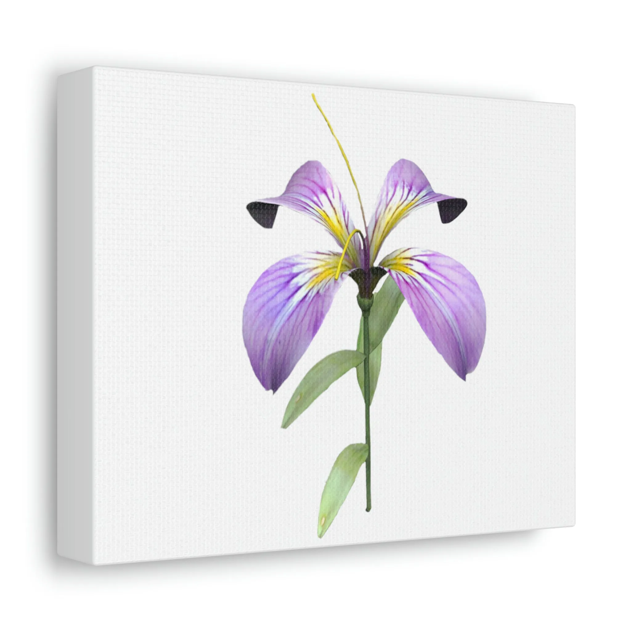 Purple Flower Stretched Canvas