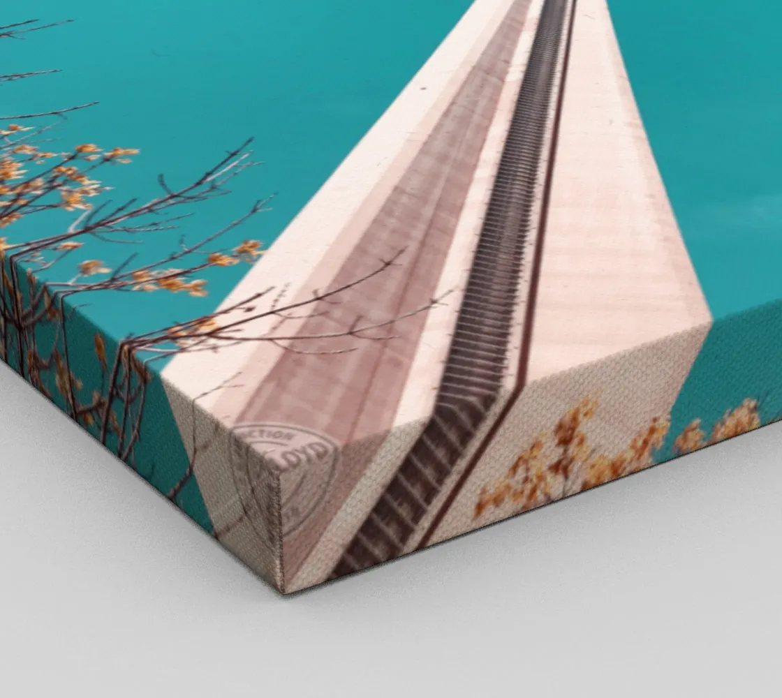 THE CN TOWER Canvas Print