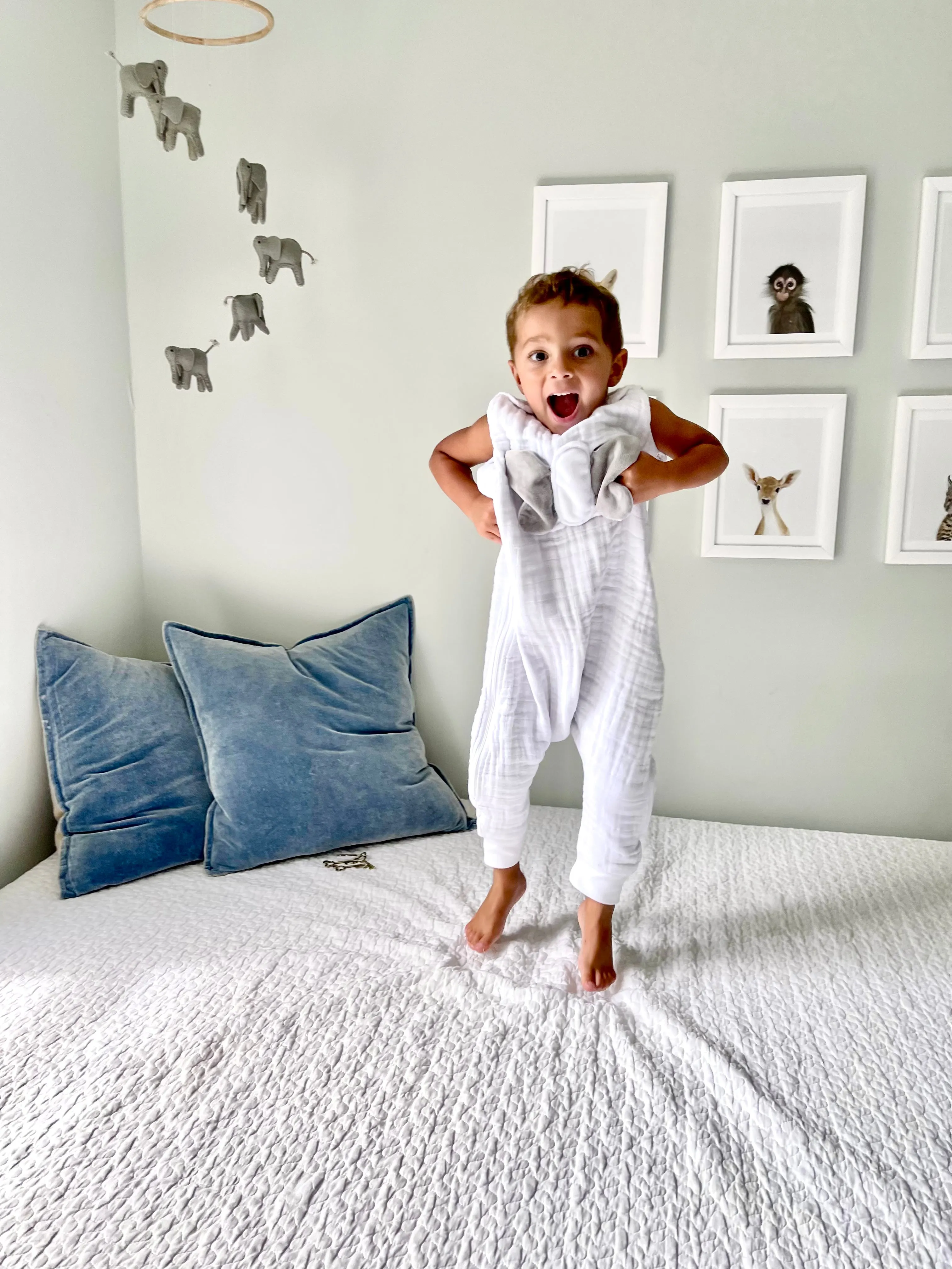 Toddler Walker Sleep Sack 12 Months  