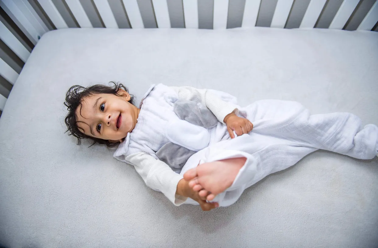 Toddler Walker Sleep Sack 12 Months  