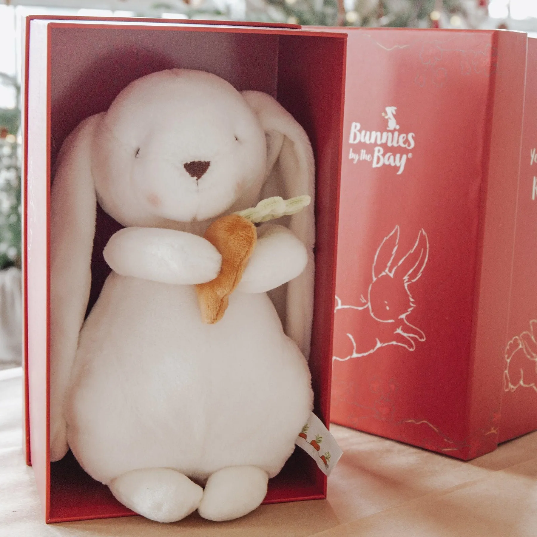 Year of the Rabbit Bunny