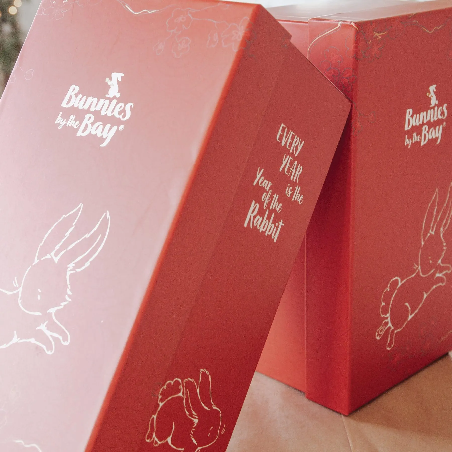 Year of the Rabbit Bunny
