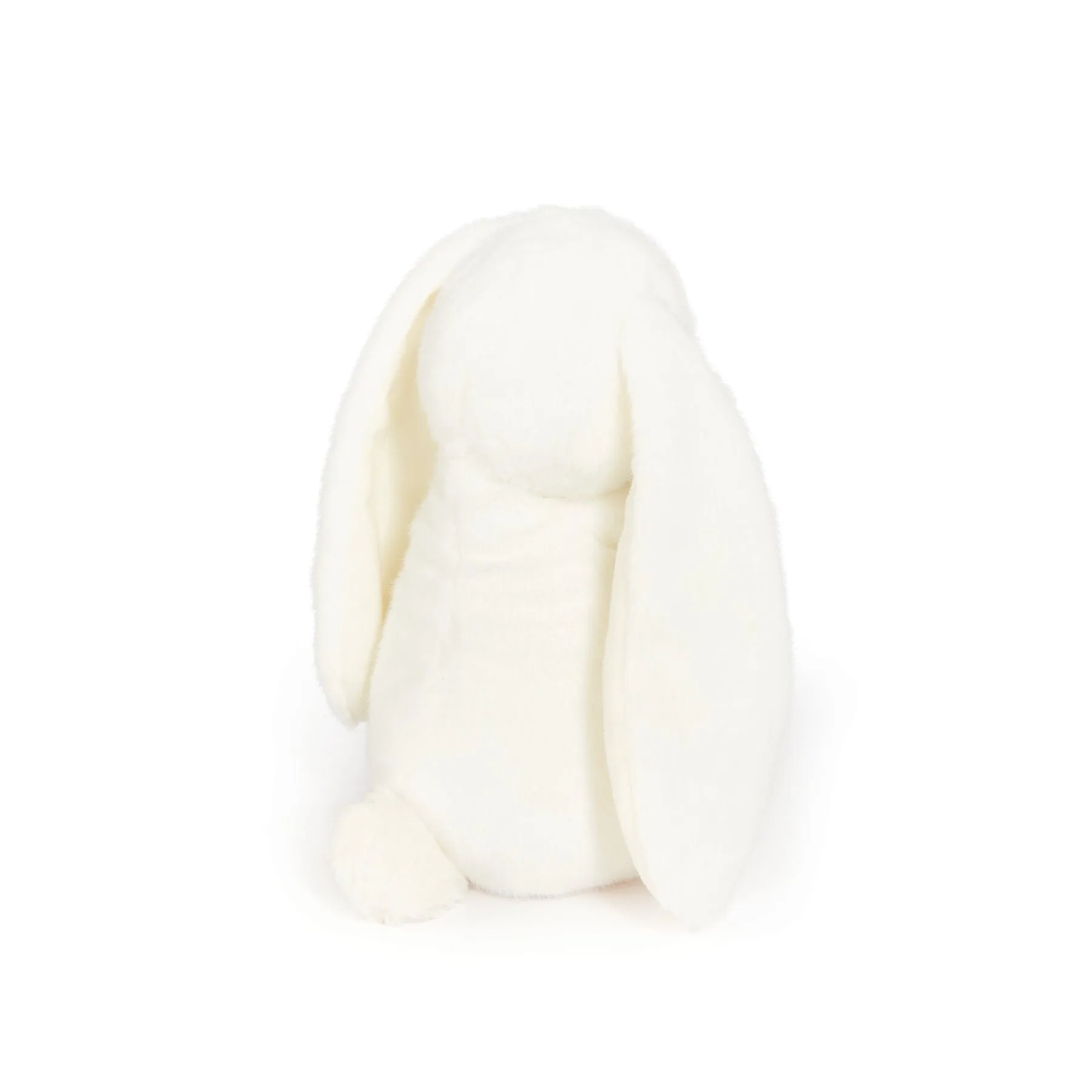 Year of the Rabbit Bunny