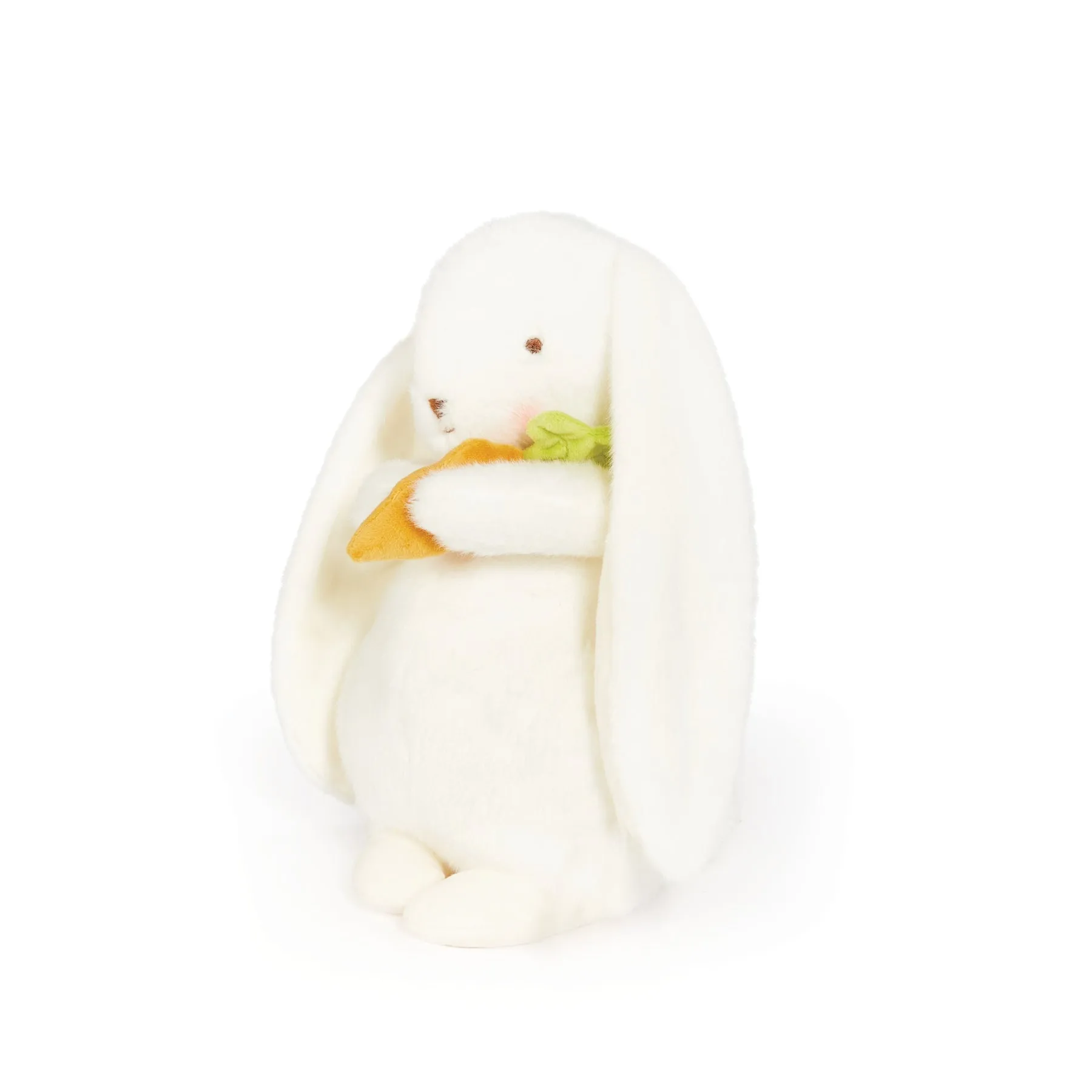 Year of the Rabbit Bunny
